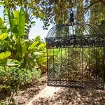 Finca Son Jorbo - Adults Only