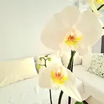 Aa Guest - El Mono De Torre Del Mar Eco Apartment