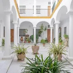 Loft Super Luminoso En El Centro Del Puerto De Santa Maria.