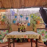 Cool Garden And Suite