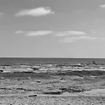 D-Alameda