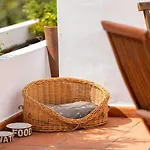 Las Casas del Chorro