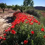 Cortijo Los Soledad