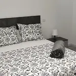 Apartamento Mc Lion