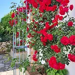 Finca Los Meleros Andalucian Farmhouse Set In Its Own Land With Beautiful Terraces, Garden & Pool.