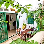 Ferienwohnung Green Palm In Costa Calma