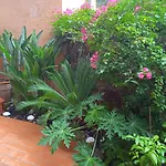 Apartement Casares Costa