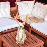 HolidayVilla Tropical - BBQ , Pool , Garden by Holidays Home