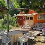 El Canto De Las Ranas
