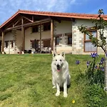 Ven Y Disfruta En El Corazon De Bizkaia-Urdaibai