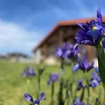 Ven Y Disfruta En El Corazon De Bizkaia-Urdaibai