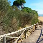 Espectacular Atico Duplex Con Vistas Al Mar