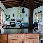 Basoeta