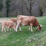 Masia La Closa