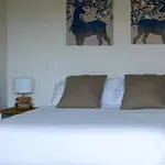 Bungalows Virales