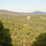 Cortijo Molino San Juan