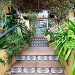 Casa Titi