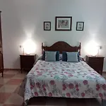 Casa Pinos