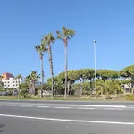 Magallanes