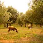 Agroturisme Son Barcelo Mas