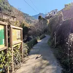 Alojamiento Yolanda Cazorla