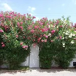 Bungalow Marbella (San Pedro Alcantara)