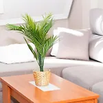 Velayli - Apartamento En El Centro De Finisterre
