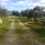 Finca Casa Halcon