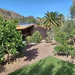 Las Palmeras Temisas