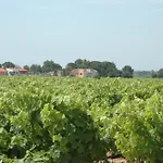 Hotel Restaurant El Bosc