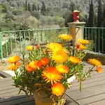 Agroturisme Finca Sa Maniga