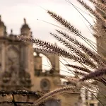 Apartamento Langreo