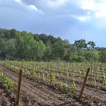 Casa Cal Tofol