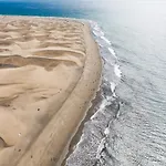 Dunes Canary Deluxe