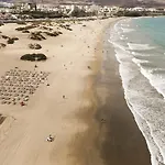 Dunes Canary Deluxe