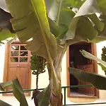 Casa Rural Llano Campo