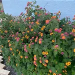 Cortijo Amara Agua