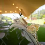 Glamping Vall De Codo