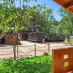 Bungalow Forest