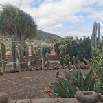 Los Cactus