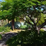 La Camuesa