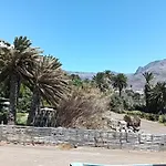 La Jacaranda