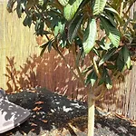 Acogedora Casa Con Jardin Y Barbacoa