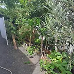 Las Vistas