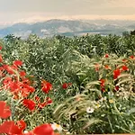 Encantador Cortijo La Emiliana A 5 Minutos Del Centro
