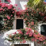 Mar Y Sol By Som Menorca
