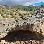 El Bufon De La Corte