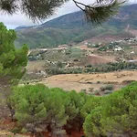 El Bufon De La Corte