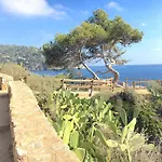 Santa Rosa
