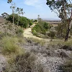 La Noria 360